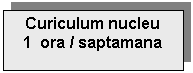 Text Box: Curiculum nucleu
1  ora / saptamana

